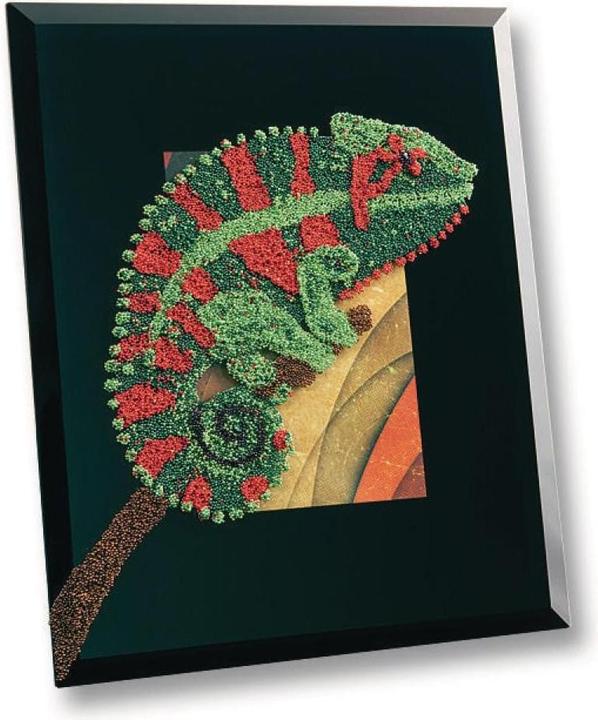 Immagine prodotto Folia Set di perline Deco