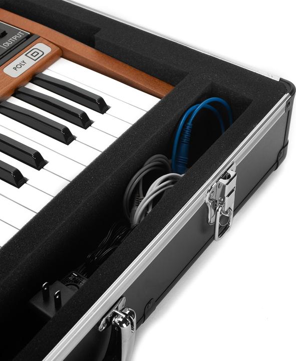 Image du produit Analog UNISON Case Pour Behringer Poly D