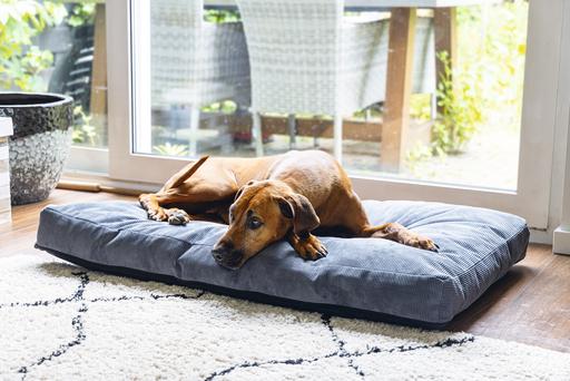 Actual product image Beeztees Bz Orthopedic Rest Cush Veo Dgrey 100x70 (Dog)