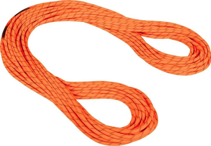 Actual product image Mammut 8.0 Alpine Dry climbing rope (50 m)