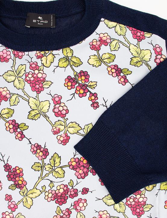 Actual product image Etro Jumper (40)