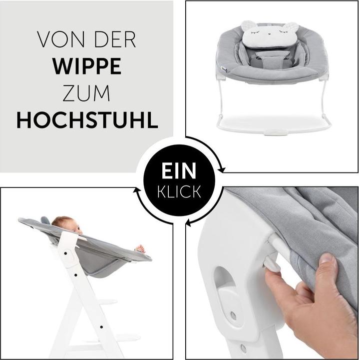 Actual product image Hauck Alpha Bouncer 2in1