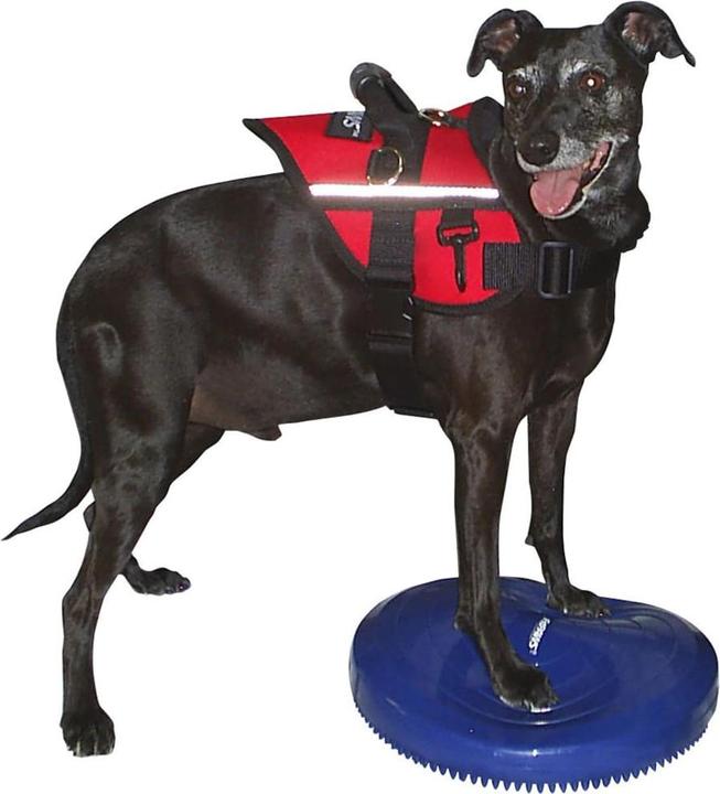 Image du produit FitPaws Balance Disk (Agility)
