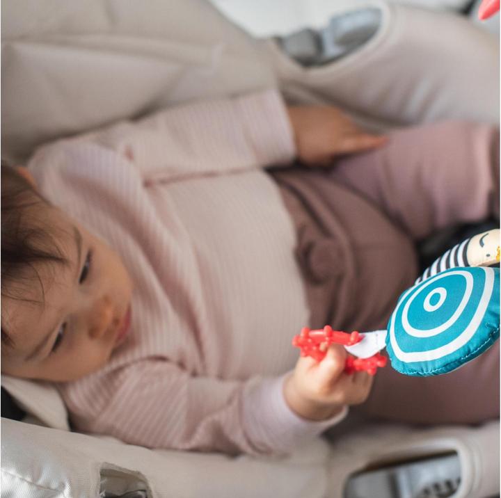 Image du produit Taf Toys Jouet de voiture koala