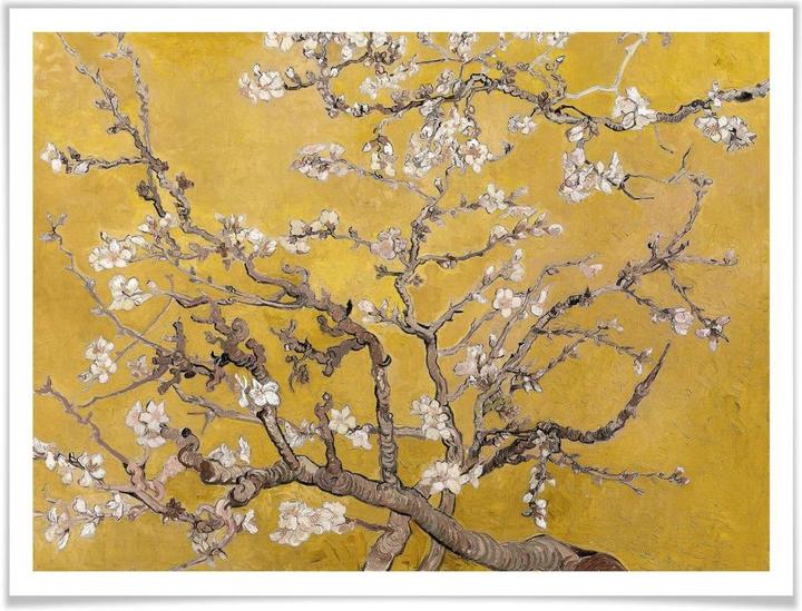 Image du produit Trenddeko van Gogh - Ocre de fleur d'amandier (60 x 50 cm)
