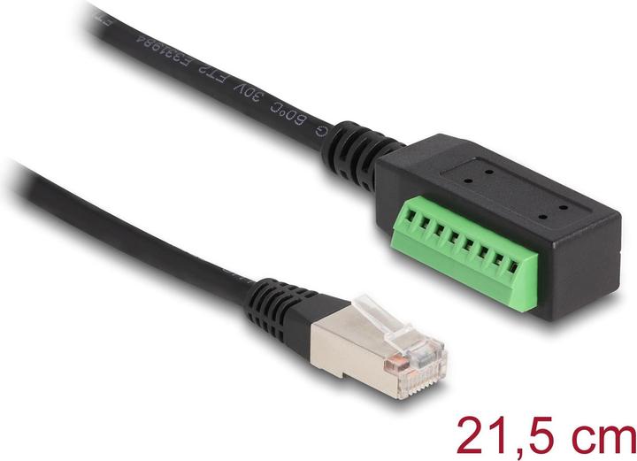Actual product image Delock Terminal block - RJ45 cable 1 piece (UTP, CAT5e, 0.22 m)