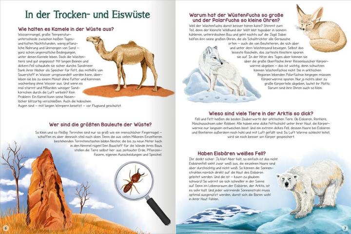 Produktbild Was willst du wissen? Das grosse Fragen- und Antwortenbuch – Tiere (Deutsch, Kristine Ortmeier, Angelika Huber-Janisch, 2023)