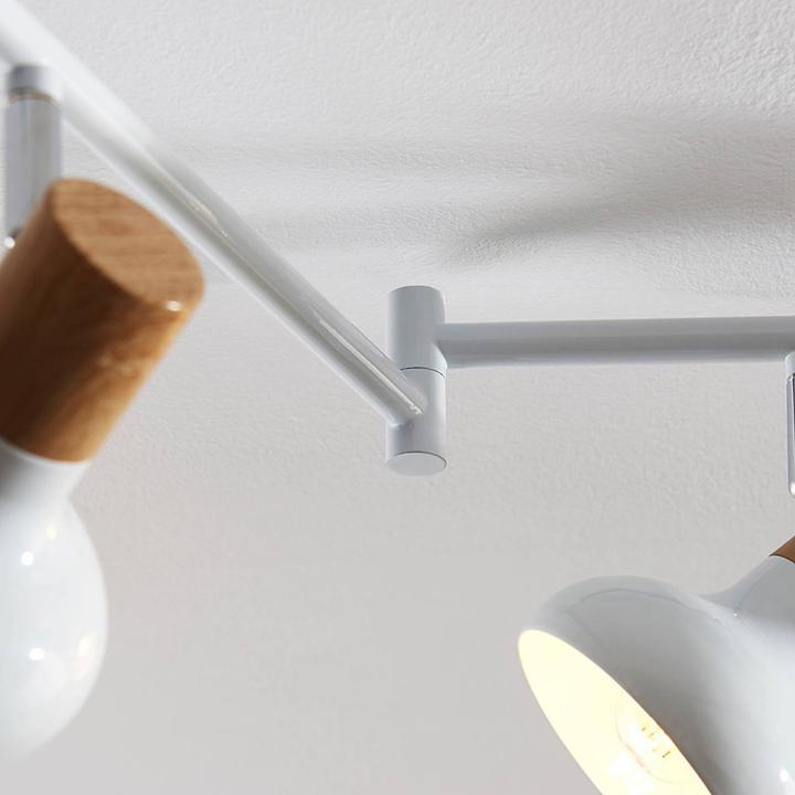 Image du produit Lindby Fridolin (E14)