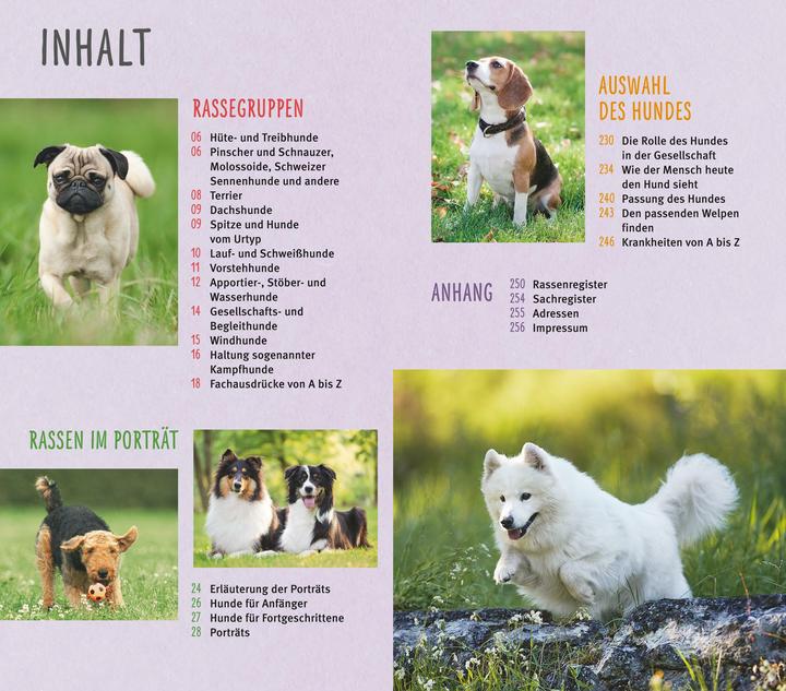 Immagine prodotto Razze di cani dalla A alla Z (1 pz., 324 g)