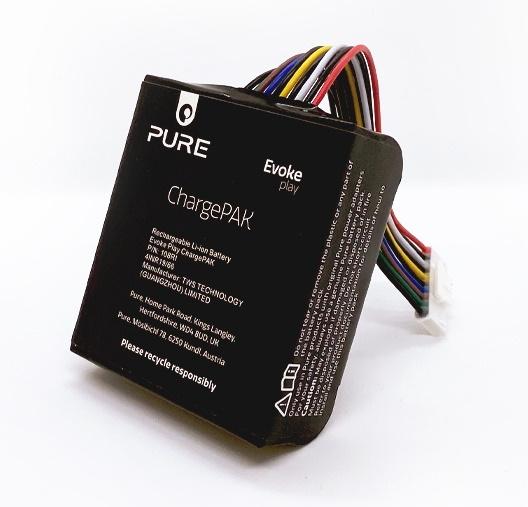 Immagine prodotto Pure ChargePAK Evoke Play