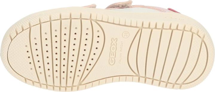 Actual product image Geox Sneaker (37)