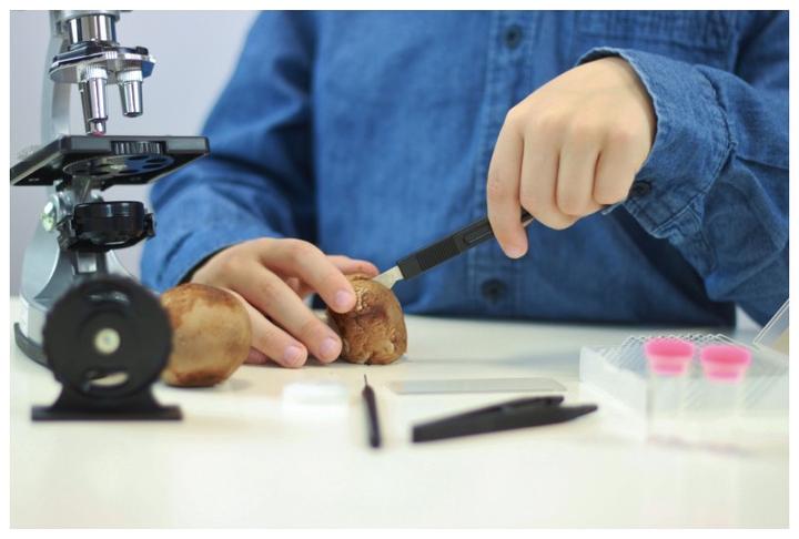 Actual product image Buki Microscope - 30 experiments