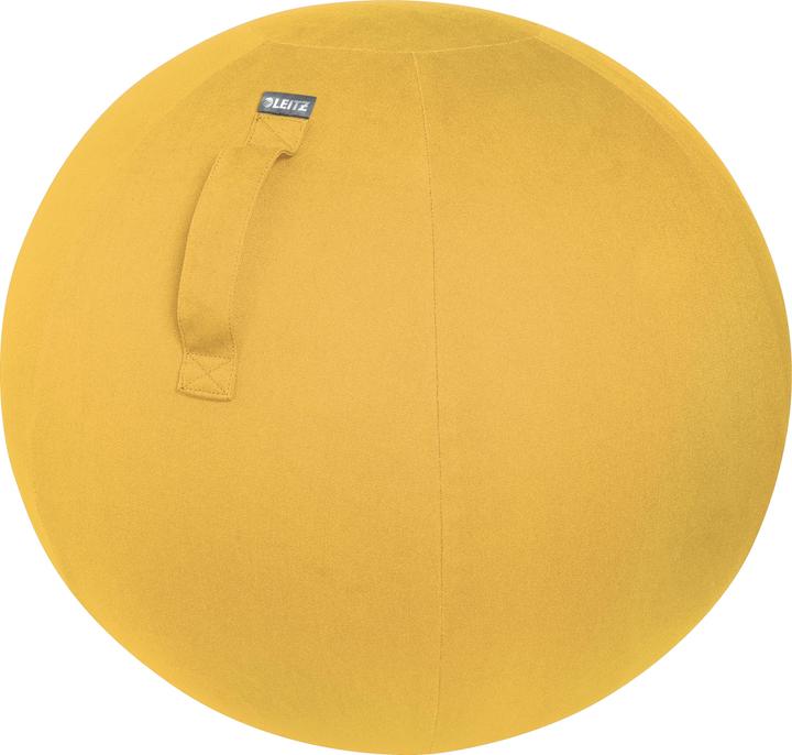 Image du produit Leitz Ballon-siège Ergo Cosy Active (65 cm)