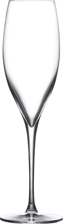 Nude Glass Terroir (25.50 cl, 2 Gläser, Sektgläser)