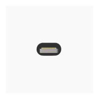 Immagine prodotto Artwizz Kabel Lightning zu USB Alu-Edition 1m (titan) (USB 2.0)