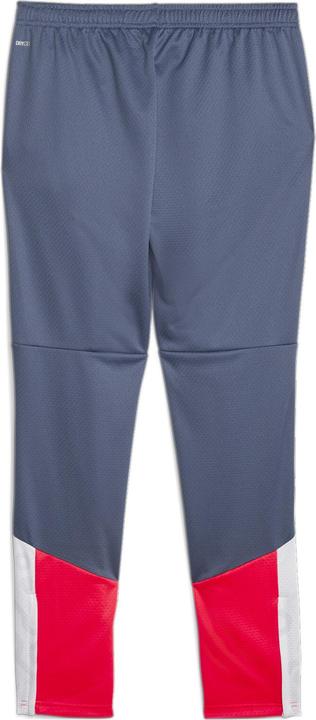 Actual product image Puma individualCUP Training Pants (L)
