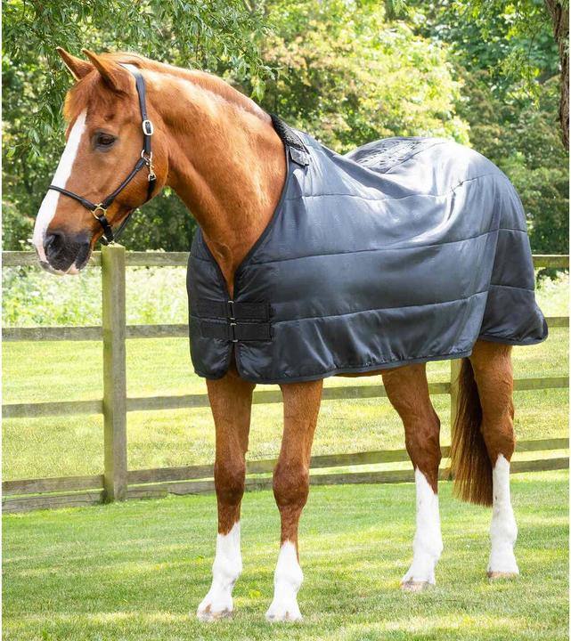 Image du produit Premier Equine 350 g