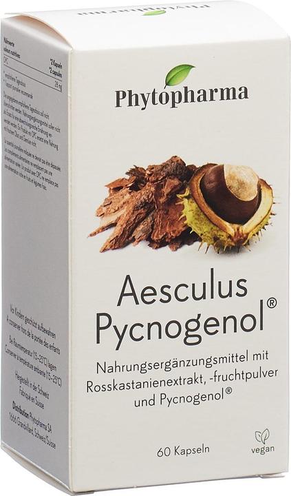 Phytopharma Aesculus Pycnogenol (60 Stück, Kapseln, 61 g)