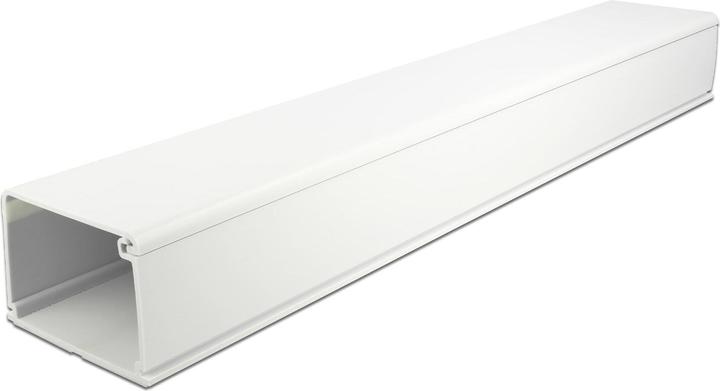 Actual product image Delock Cable duct (Duct, 100 cm)