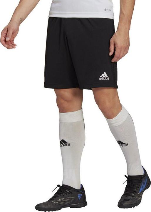 Actual product image adidas Entrada 22 training shorts men (S)