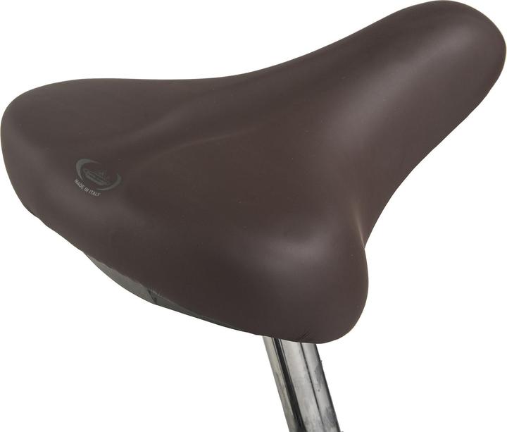 Actual product image Hollandia Dutch bike 28" Royal Dutch Singlespeed RH 49 cm (49 cm)