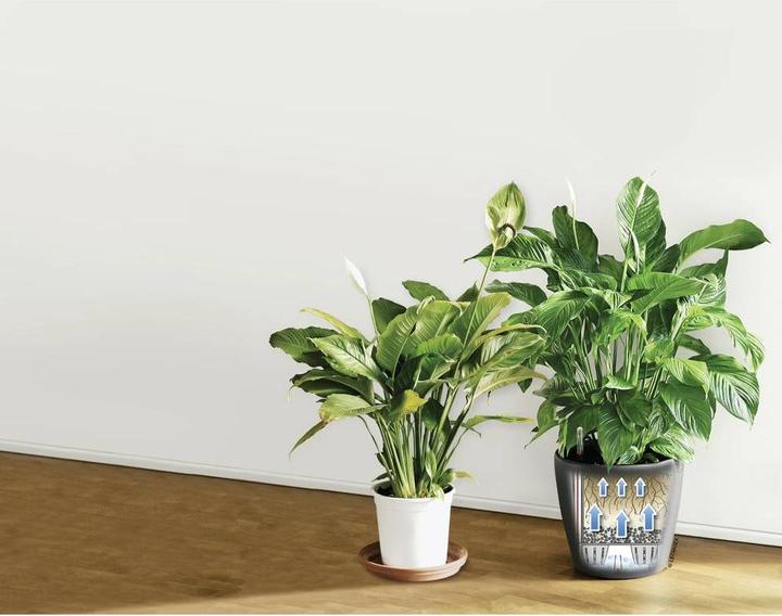 Produktbild Lechuza Classico (28.50 cm)