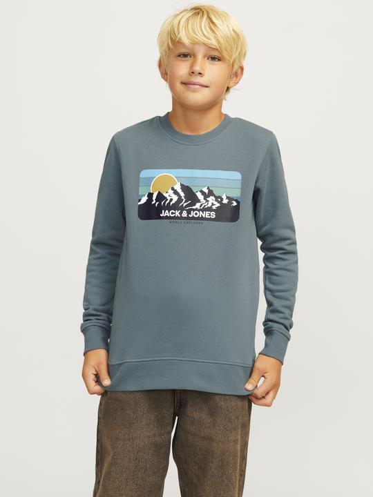 Actual product image Jack & Jones Printed sweatshirt with round neck Sweatshirt with round neck (164)