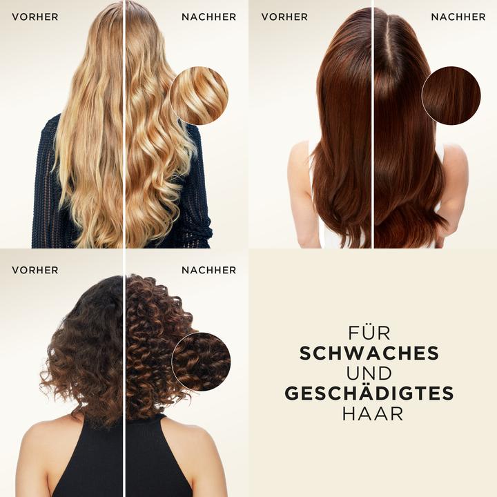 Produktbild Pantene Pro-V Repair & Care (300 ml, Flüssiges Shampoo)