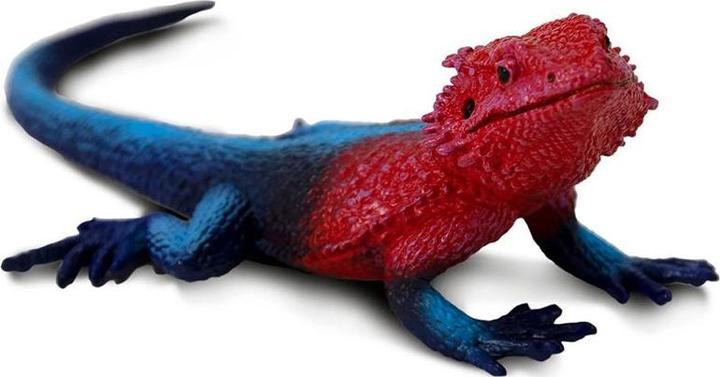 Immagine prodotto Safari Agama di roccia