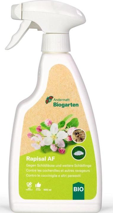 Produktbild Andermatt Biogarten Rapisal AF (Schildläuse, Birnblattsauger, Spinnmilben, Buchsbaumblattfloh, Thripse, Zykaden, Weissen Fliegen, Blattläuse)