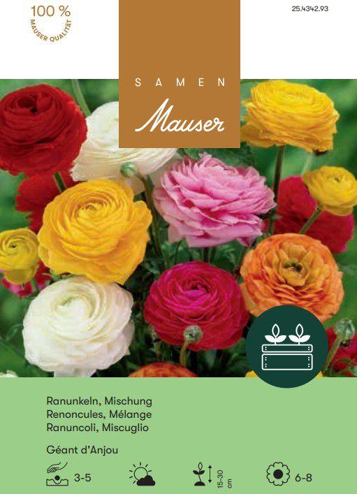 Samen Mauser Renoncule Géant d'Anjou mélange (Graines de fleurs)
