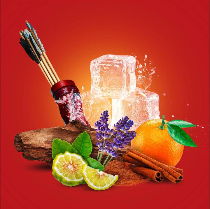 Image du produit Old Spice Original (250 ml)