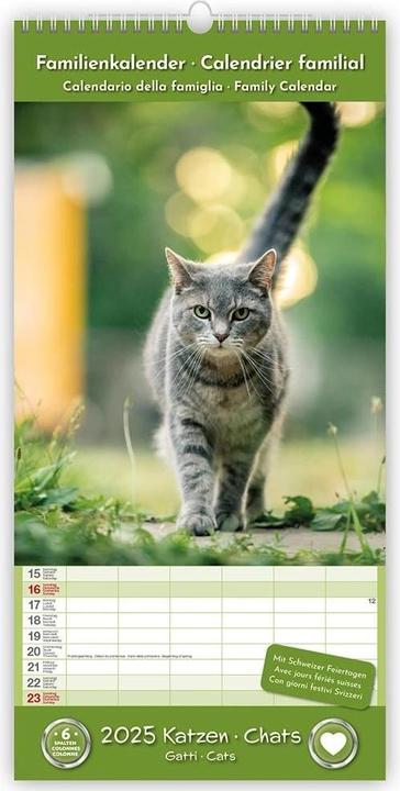 Image du produit Calendrier Chats 22 x 45 cm (22 x 45 cm)
