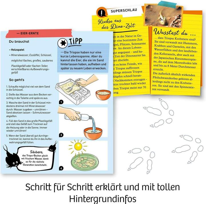 Actual product image Kosmos Experiment kit Fun Science Triops breed