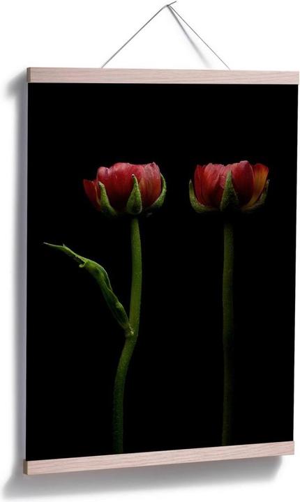 Actual product image Trenddeko Two red ranunculus (30 x 40 cm)