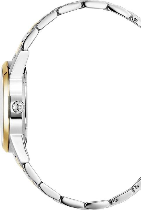 Actual product image Swiss Alpine Military 7767.1147 Argos (Swiss made, 34 mm)