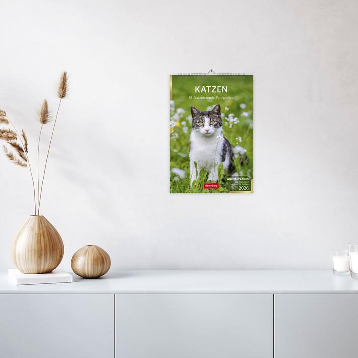 Actual product image Harenberg Katzen Wochenplaner 2026 - 53 faszinierende Fotografien (Hardcover, German)