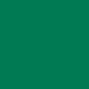Immagine prodotto VBS Vernice acrilica, 250 ml (Ossido di cromo verde, 250 ml)