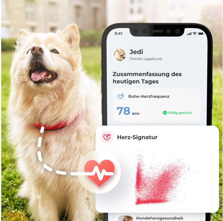 Produktbild Invoxia Smart Dog Collar taille S (Hund)
