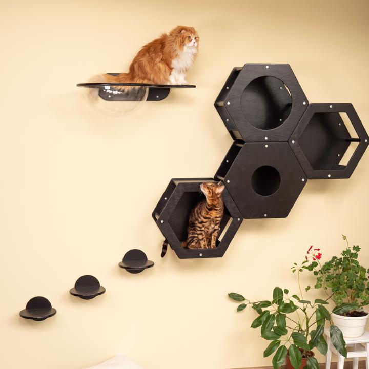 Immagine prodotto Wowhelperco Parete da arrampicata per gatti 8 pezzi (Nero)
