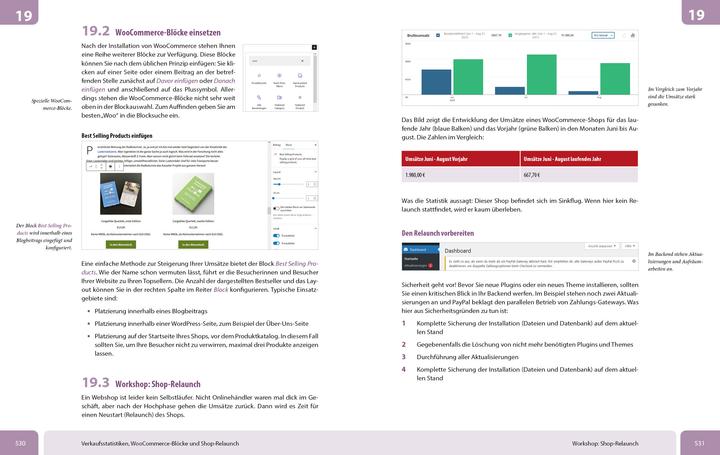 Energy Label WooCommerce - Das grosse Handbuch (German, Schmitt Bernd, 2023)