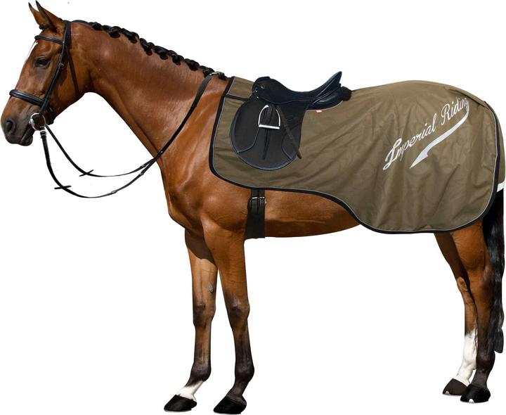 Actual product image Imperial Riding Super-dry 0gr