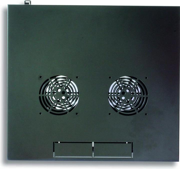 Actual product image Techly 19inch Wall Network Rack 9U Depth (10.86 RU, 19 inch rack)