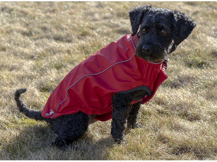 Actual product image Canada Pooch Go Fresh Pet - Reversible Rain jacket Scarlet Red L 46cm (46, Dog life jacket)