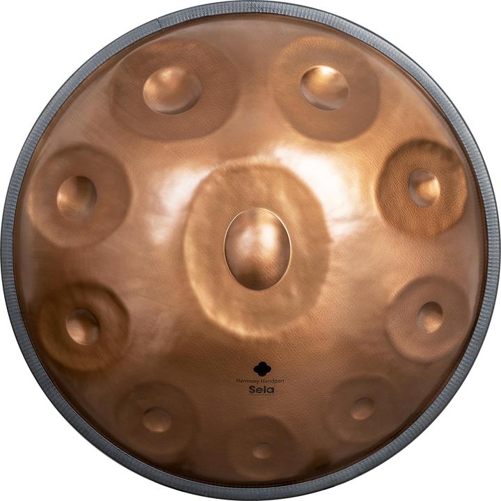 Actual product image Sela SE 321 Harmony Handpan D Amara 10 Phoenix Steel roestvrij staal