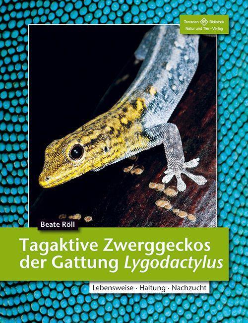 Produktbild Tagaktive Zweggeckos der Gattung Lygodactylus (Deutsch, Beate Röl, 2013)