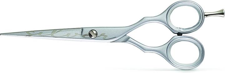 Actual product image Kiepe Luxury 2452-6 Silber (10 cm)