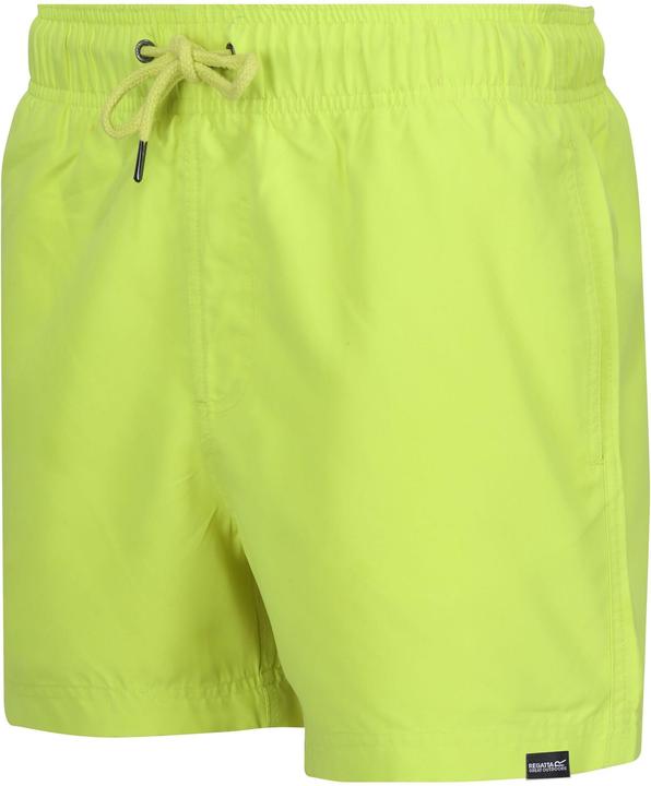 Actual product image Regatta Mens Mawson II Swim Shorts (XXL)