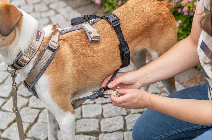 Produktbild Trixie Panik-Adapter Stay für Geschirre M-L (Hund, Allgemein)
