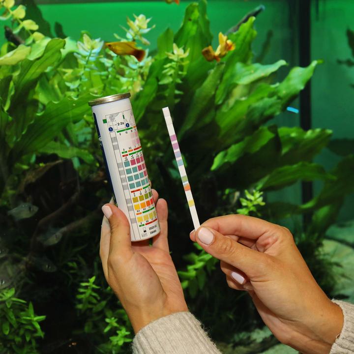 Produktbild JBL Aquaristik und Terraristik EasyTest 7 in 1 (Wasserpflege Aquarium)